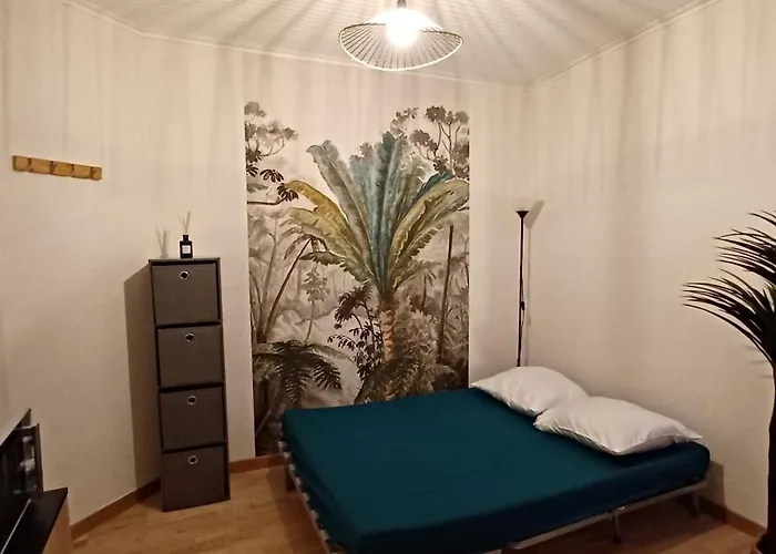 Studio Hyper Centre Les Sables