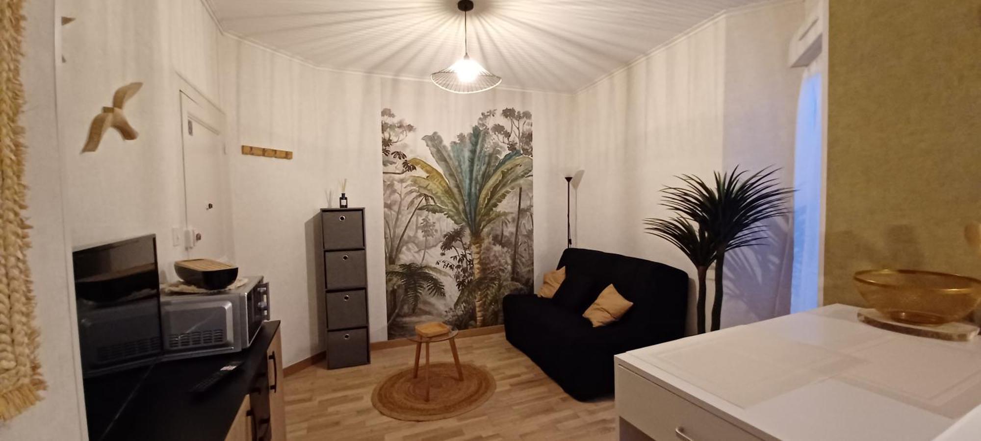 Apartment Hyper Centre